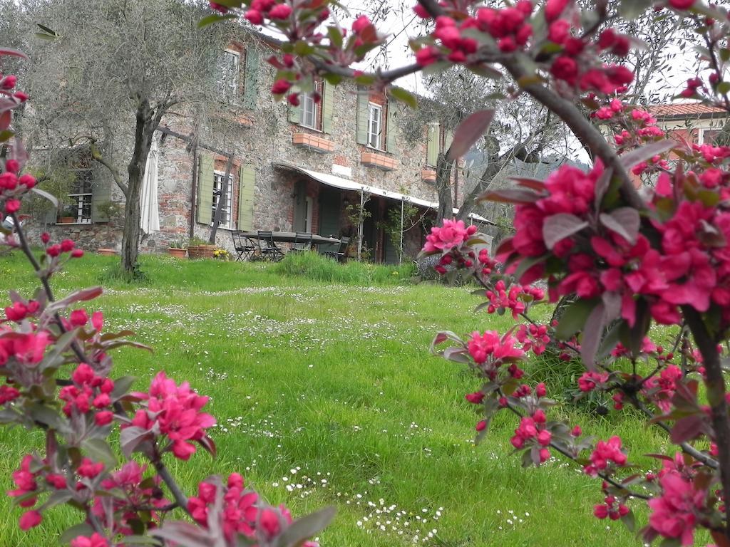 Il Giardino Delle Esperidi Bed & Breakfast Fosdinovo Dış mekan fotoğraf